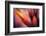 Paintbrush-Ursula Abresch-Framed Photographic Print