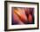 Paintbrush-Ursula Abresch-Framed Photographic Print