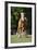 Painted 038-Bob Langrish-Framed Photographic Print