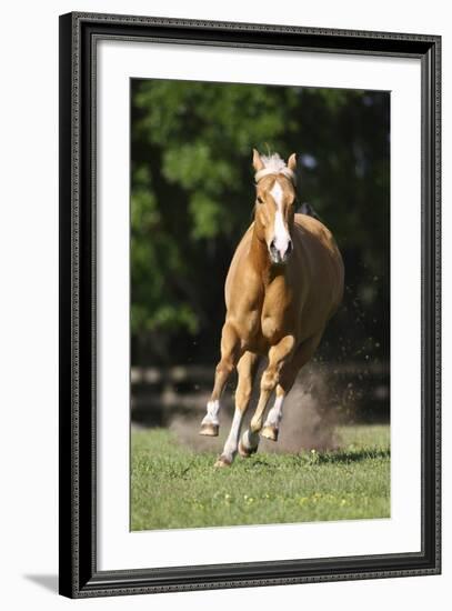 Painted 038-Bob Langrish-Framed Photographic Print