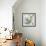 Painted Birds II-Ken Hurd-Framed Giclee Print displayed on a wall