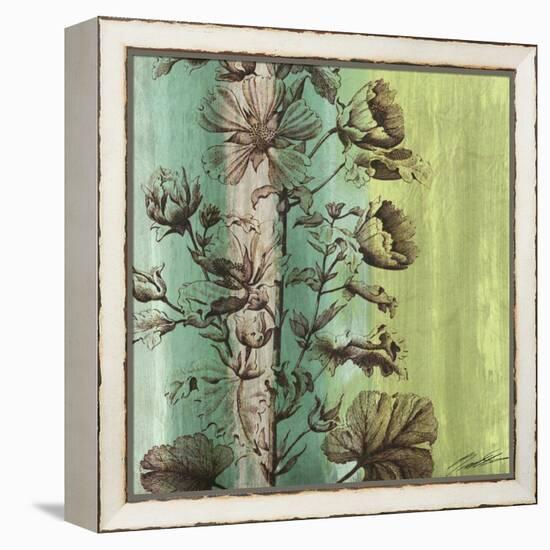 Painted Botanical II-John Butler-Framed Stretched Canvas