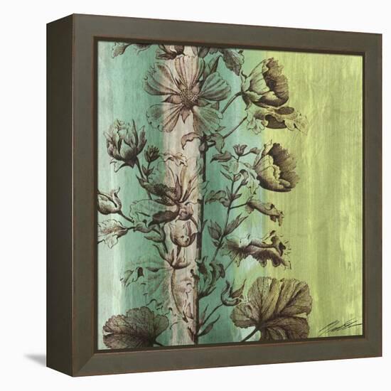 Painted Botanical II-John Butler-Framed Stretched Canvas