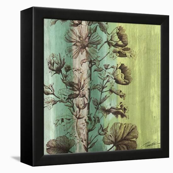 Painted Botanical II-John Butler-Framed Stretched Canvas