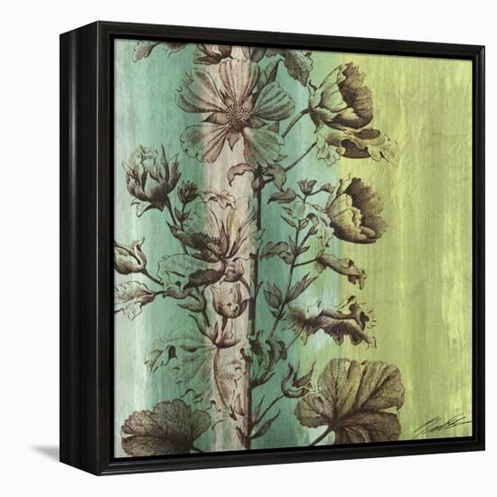 Painted Botanical II-John Butler-Framed Stretched Canvas