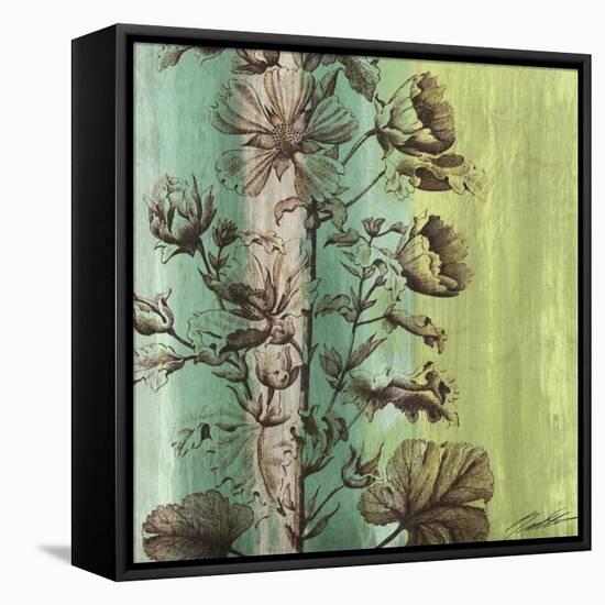 Painted Botanical II-John Butler-Framed Stretched Canvas