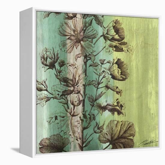 Painted Botanical II-John Butler-Framed Stretched Canvas