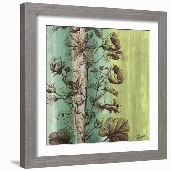 Painted Botanical II-John Butler-Framed Art Print