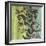 Painted Botanical III-John Butler-Framed Art Print