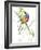 Painted Bunting-Suren Nersisyan-Framed Art Print