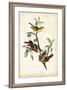 Painted Bunting-John James Audubon-Framed Art Print