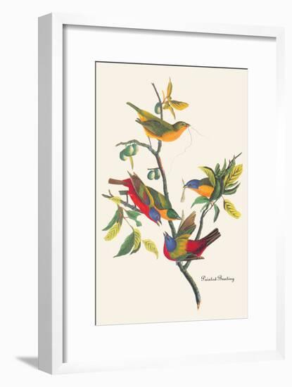 Painted Bunting-John James Audubon-Framed Art Print