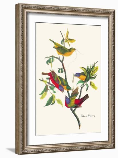 Painted Bunting-John James Audubon-Framed Art Print