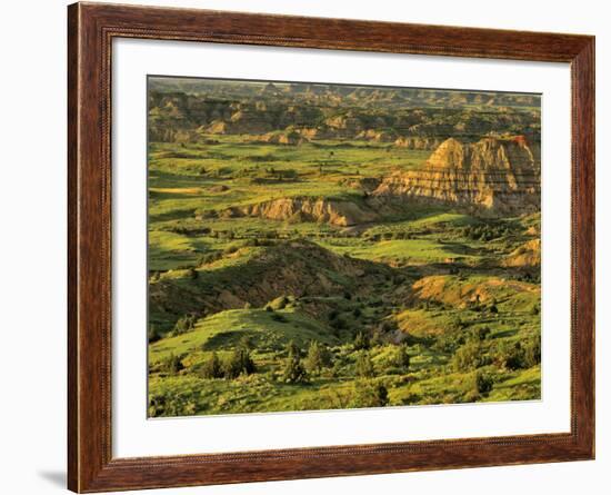 Painted Canyon after Storm in Theodore Roosevelt National Park, North Dakota, USA-Chuck Haney-Framed Photographic Print