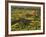 Painted Canyon after Storm in Theodore Roosevelt National Park, North Dakota, USA-Chuck Haney-Framed Photographic Print