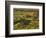 Painted Canyon after Storm in Theodore Roosevelt National Park, North Dakota, USA-Chuck Haney-Framed Photographic Print