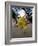 Painted Cow, Mysore, Karnataka, India-Michele Falzone-Framed Photographic Print