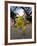 Painted Cow, Mysore, Karnataka, India-Michele Falzone-Framed Photographic Print