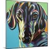 Painted Dachshund I-Carolee Vitaletti-Mounted Art Print