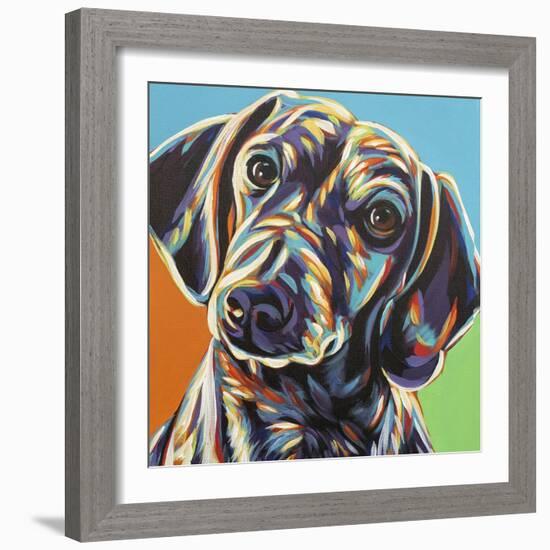 Painted Dachshund II-Carolee Vitaletti-Framed Art Print