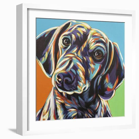 Painted Dachshund II-Carolee Vitaletti-Framed Art Print