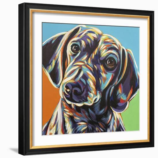 Painted Dachshund II-Carolee Vitaletti-Framed Art Print