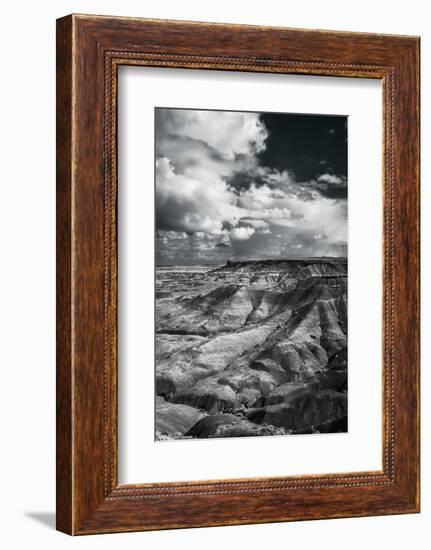 Painted Desert from Lacey Point, Petrified Forest National Park, Arizona-Jerry Ginsberg-Framed Photographic Print