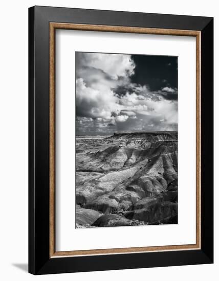 Painted Desert from Lacey Point, Petrified Forest National Park, Arizona-Jerry Ginsberg-Framed Photographic Print