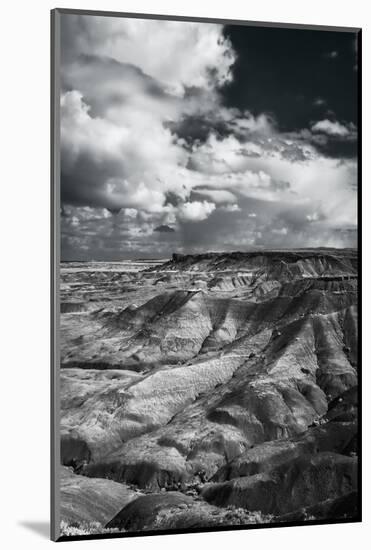 Painted Desert from Lacey Point, Petrified Forest National Park, Arizona-Jerry Ginsberg-Mounted Photographic Print