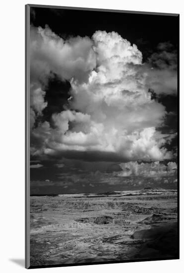 Painted Desert from Lacey Point, Petrified Forest National Park, Arizona-Jerry Ginsberg-Mounted Photographic Print