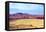 Painted Desert Landscape-Douglas Taylor-Framed Premier Image Canvas