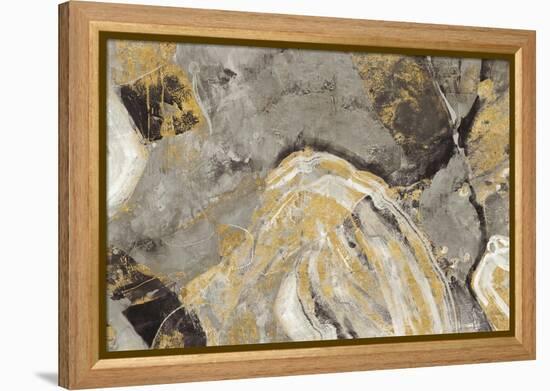 Painted Desert Phoenix Neutral-Albena Hristova-Framed Stretched Canvas