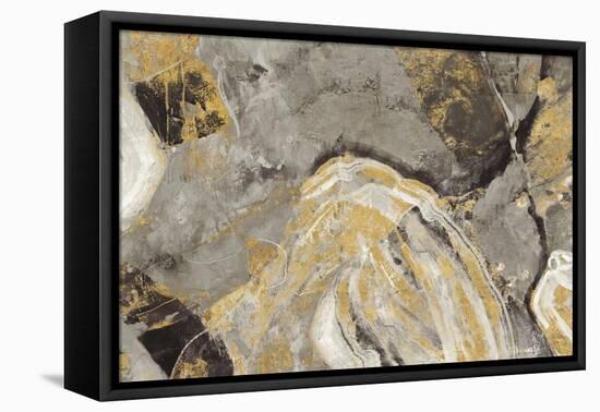 Painted Desert Phoenix Neutral-Albena Hristova-Framed Stretched Canvas