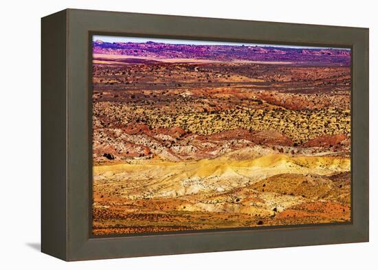 Painted Desert Yellow Grass Lands Orange Sandstone Red Fiery Furnace Arches National Park Moab Utah-BILLPERRY-Framed Premier Image Canvas