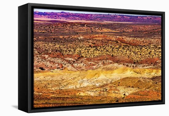 Painted Desert Yellow Grass Lands Orange Sandstone Red Fiery Furnace Arches National Park Moab Utah-BILLPERRY-Framed Premier Image Canvas