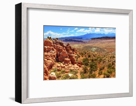 Painted Desert Yellow Grass Lands Orange Sandstone Red Fiery Furnace Arches National Park Moab Utah-BILLPERRY-Framed Photographic Print