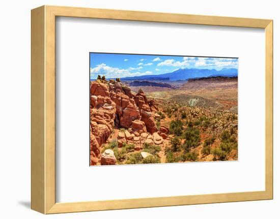 Painted Desert Yellow Grass Lands Orange Sandstone Red Fiery Furnace Arches National Park Moab Utah-BILLPERRY-Framed Photographic Print