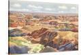 Stretched Canvas Print