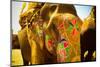 Painted Elephant, Amer Fort, Jaipur, India, Asia-Laura Grier-Mounted Photographic Print