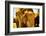 Painted Elephant, Amer Fort, Jaipur, India, Asia-Laura Grier-Framed Photographic Print