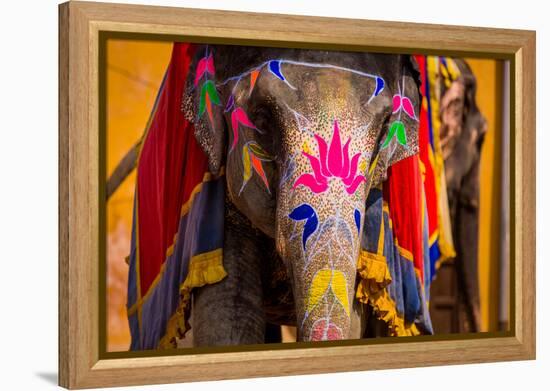 Painted Elephant, Amer Fort, Jaipur, Rajasthan, India, Asia-Laura Grier-Framed Premier Image Canvas