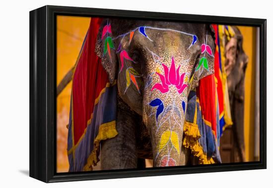 Painted Elephant, Amer Fort, Jaipur, Rajasthan, India, Asia-Laura Grier-Framed Premier Image Canvas