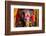 Painted Elephant, Amer Fort, Jaipur, Rajasthan, India, Asia-Laura Grier-Framed Photographic Print