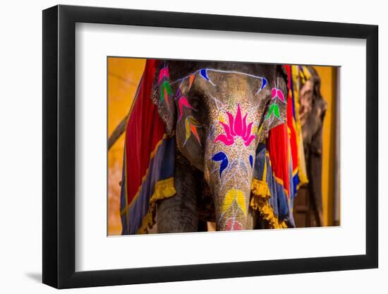 Painted Elephant, Amer Fort, Jaipur, Rajasthan, India, Asia-Laura Grier-Framed Photographic Print