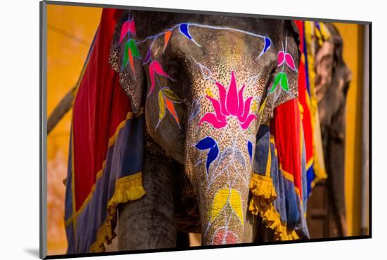 Painted Elephant, Amer Fort, Jaipur, Rajasthan, India, Asia-Laura Grier-Mounted Photographic Print