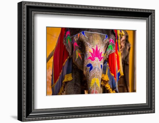 Painted Elephant, Amer Fort, Jaipur, Rajasthan, India, Asia-Laura Grier-Framed Photographic Print