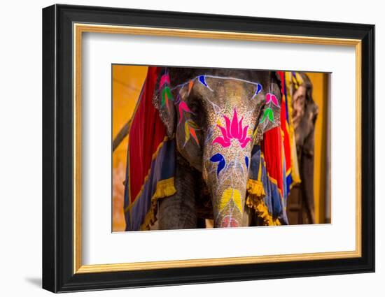 Painted Elephant, Amer Fort, Jaipur, Rajasthan, India, Asia-Laura Grier-Framed Photographic Print