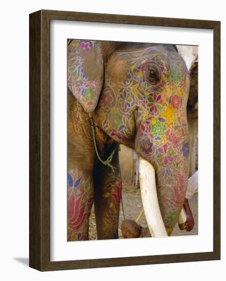 Painted Elephant, Close up of Head, Jaipur, Rajasthan, India-Bruno Morandi-Framed Photographic Print