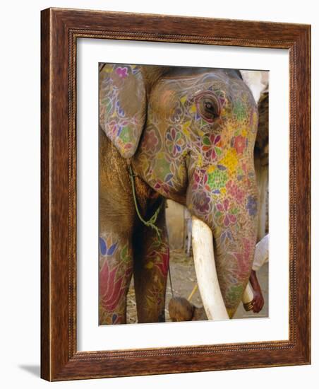 Painted Elephant, Close up of Head, Jaipur, Rajasthan, India-Bruno Morandi-Framed Photographic Print