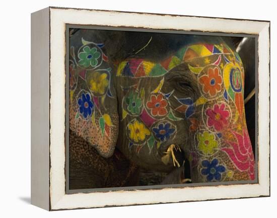Painted Elephant, Used for Transporting Tourists, Amber Palace, Jaipur, Rajasthan, India-Jeremy Bright-Framed Premier Image Canvas